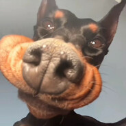 Ozempic Enjoyer avatar