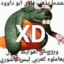 xxmonsta 54