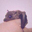 Bat