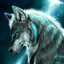 alpha woulf