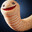 Worm