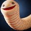 Worm