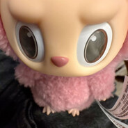 студент пгниу