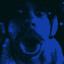 Dork(zvrk off)