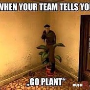 ๖ Oяαηgε ☮ Hαze