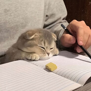 柠茶