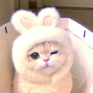 电脑玩家希拉里