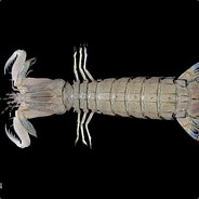 打到你了算我输