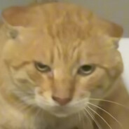 21世纪丹书铁券持有者