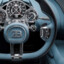Bugattii
