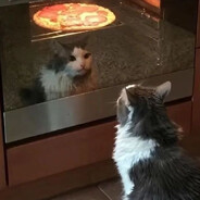 我的饭都给你吃