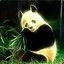 |MiniNooB|Panda[PT]