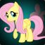 Sensei Fluttershy