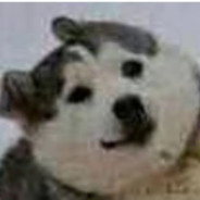 老婆鼻塞打电话一直喘