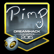 Player avatar