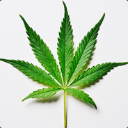 SohoSwag - steam id 76561198089985638