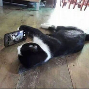 叽拽根(校园网版）