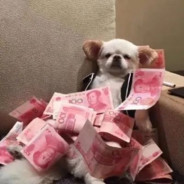 我本将心向明月