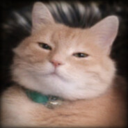 𝕸𝖗. 𝕭𝖑𝖆𝖓𝖉