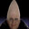JoeBuddy