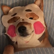 精致的猪精男孩