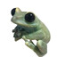 DopamineFrog