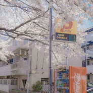 猛戳瞎子那只好眼