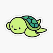 TurtlePig