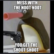 NOOT NOOT SHOOT SHOOT