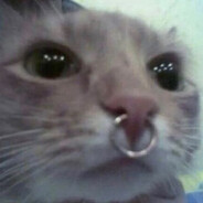 Nyakamata