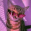 𝕄𝕚𝕤𝕤 ℙ𝕣𝕚𝕫𝕣𝕒𝕔𝕜