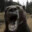 Deadlyender
