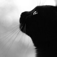 她不念他半分好