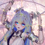 初叶XY