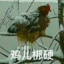 打死黑鸡儿