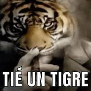 Aprieta esas nachas pq Tio Tigre