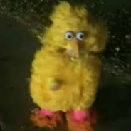 Bigbird