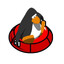 CP Lover