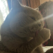 limonharon ********.**********