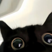 阿里嘎多析嘻桑