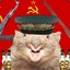 Commissar Wombat