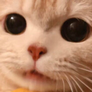 Sniffany