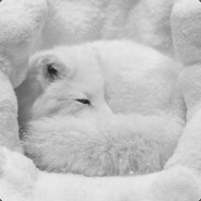 FrozenSnowFox avatar