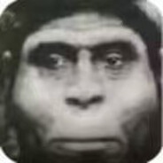 懒羊羊肘击牢大