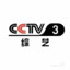 CCTV-33