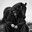 MarazAli