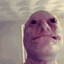 YeahThatPie