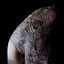 euforia