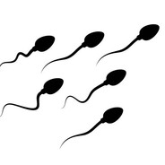 CUM - steam id 76561199552817449