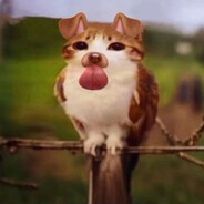 WiseMuppetOfTheWeast